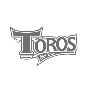 Toros del Este